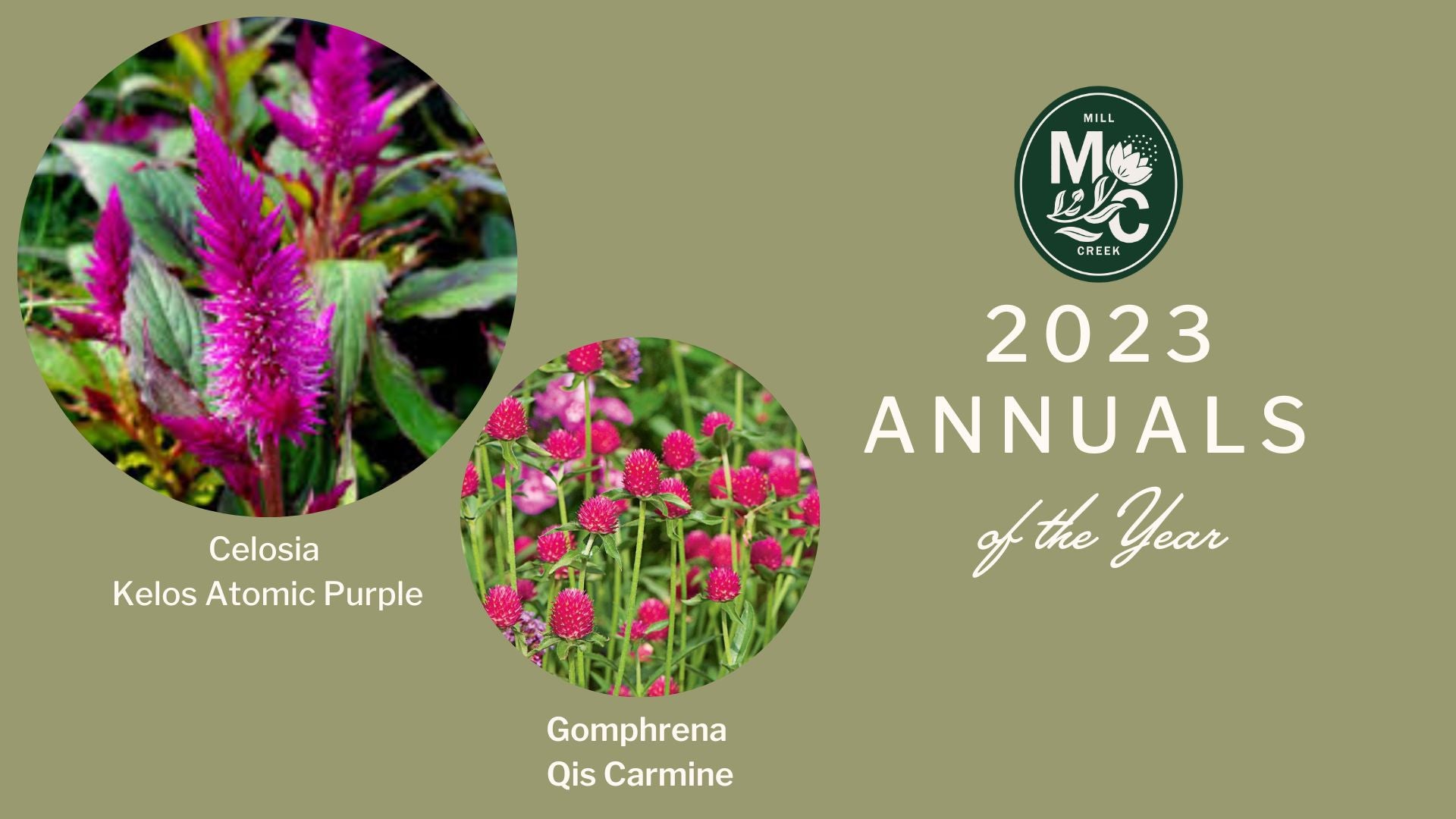 2023 Spring Annuals of the Year