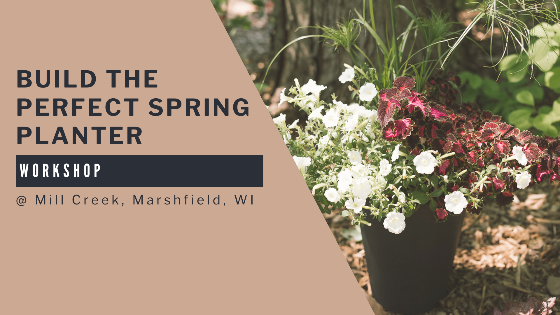 Build the Perfect Spring Planter
