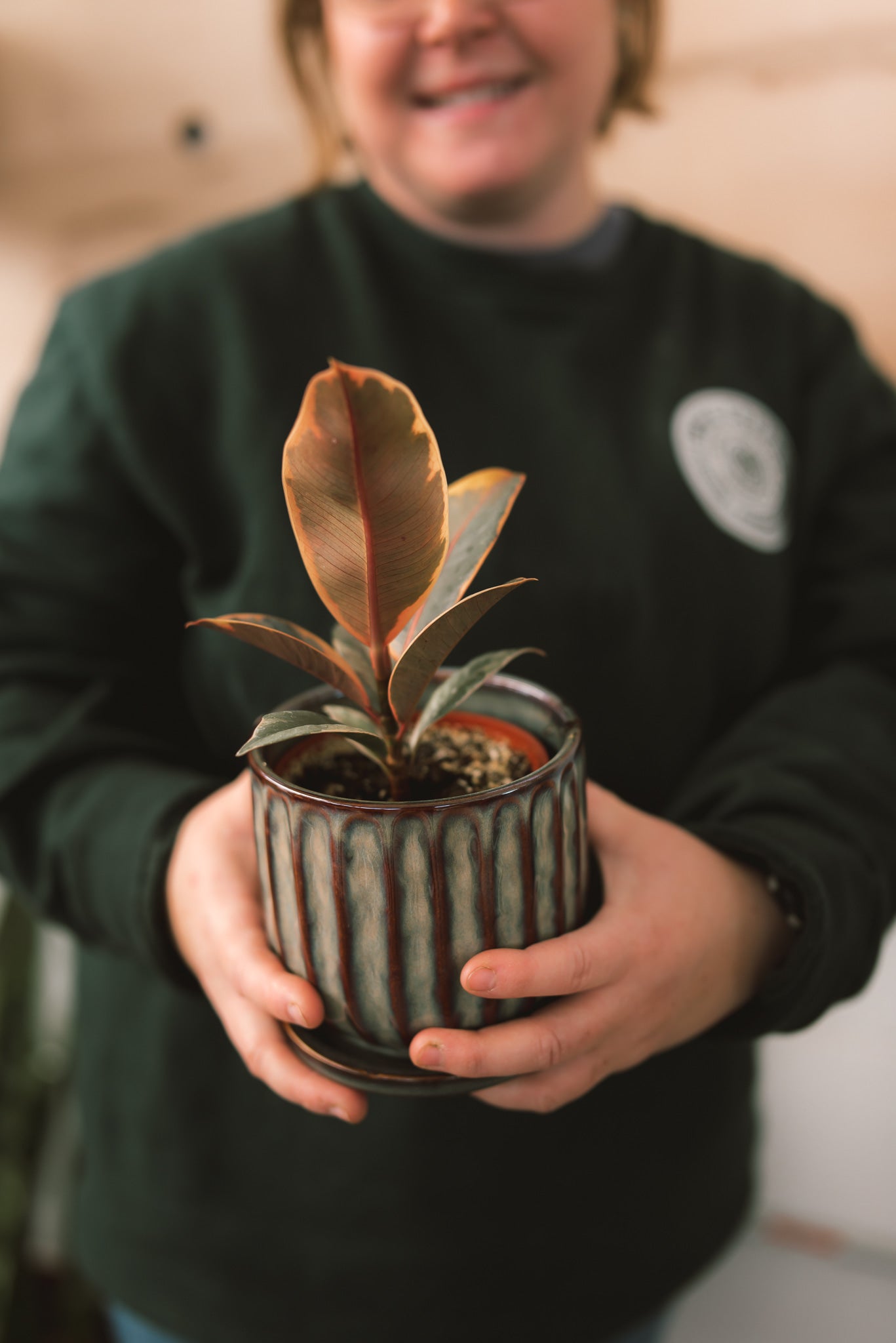 Pre-potted Indoor Plant + Decorative Pot