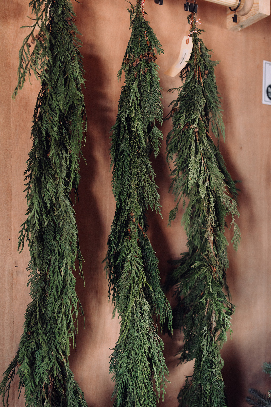 Flat Cedar Garland