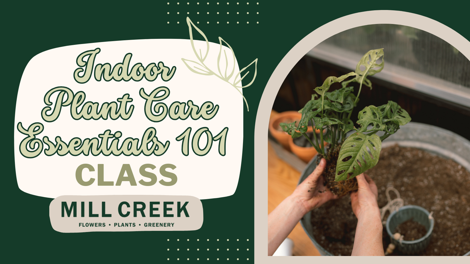 indoor plant care essentials Indoor Plant Care ESSENTIALS Class – Mill Creek Gardens