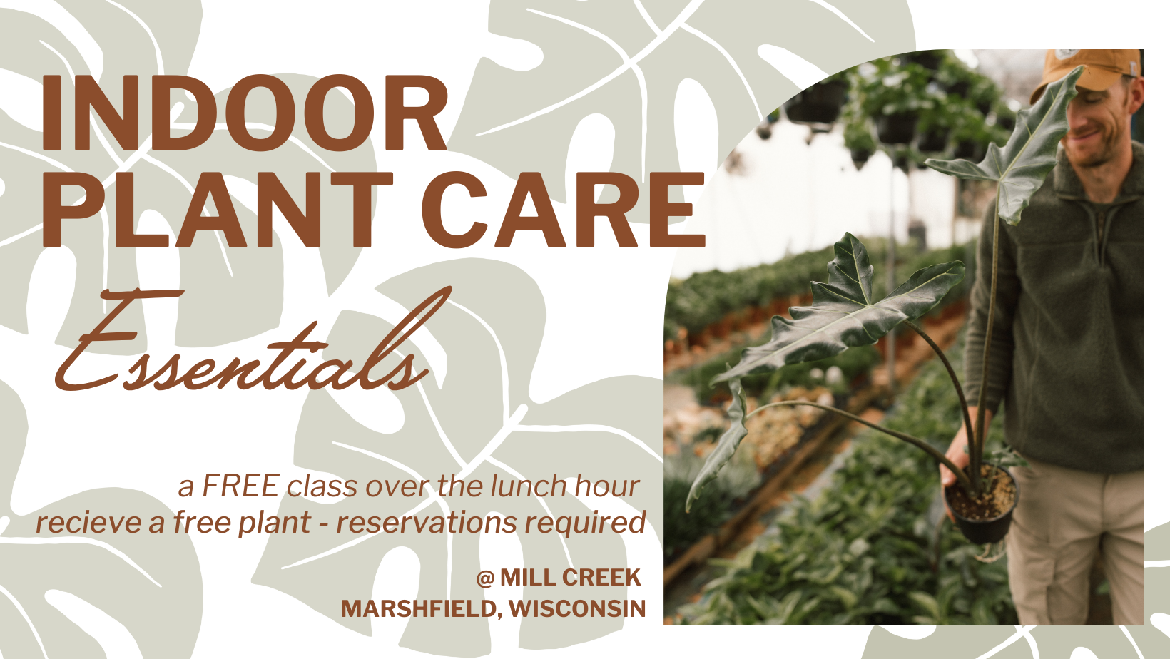 Indoor Plant Care ESSENTIALS Class