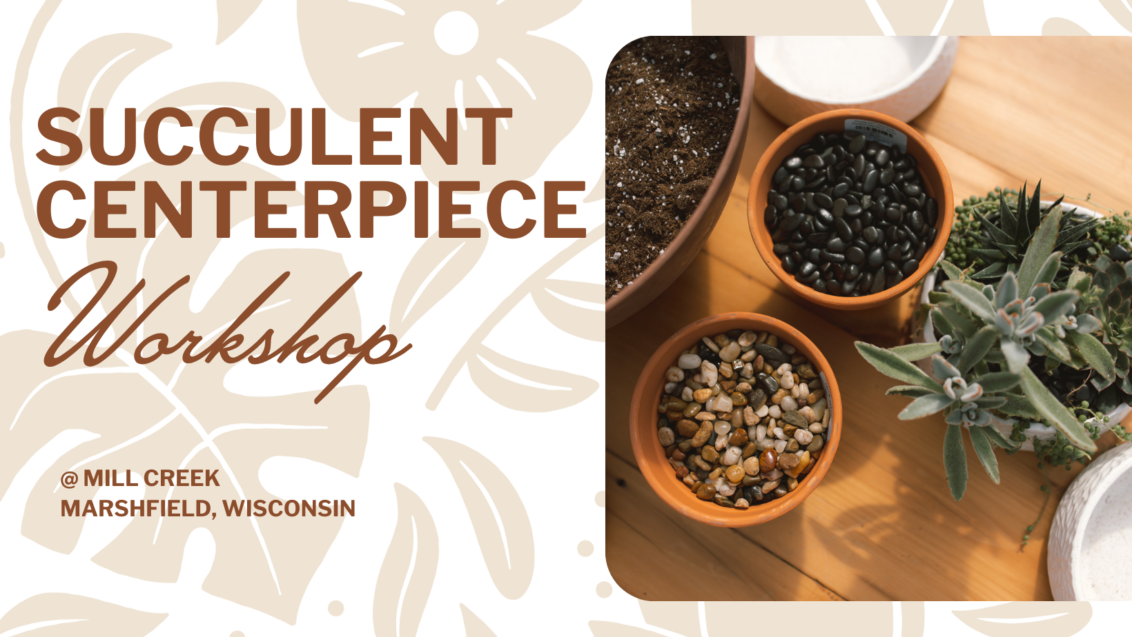 Succulent Centerpiece Workshop