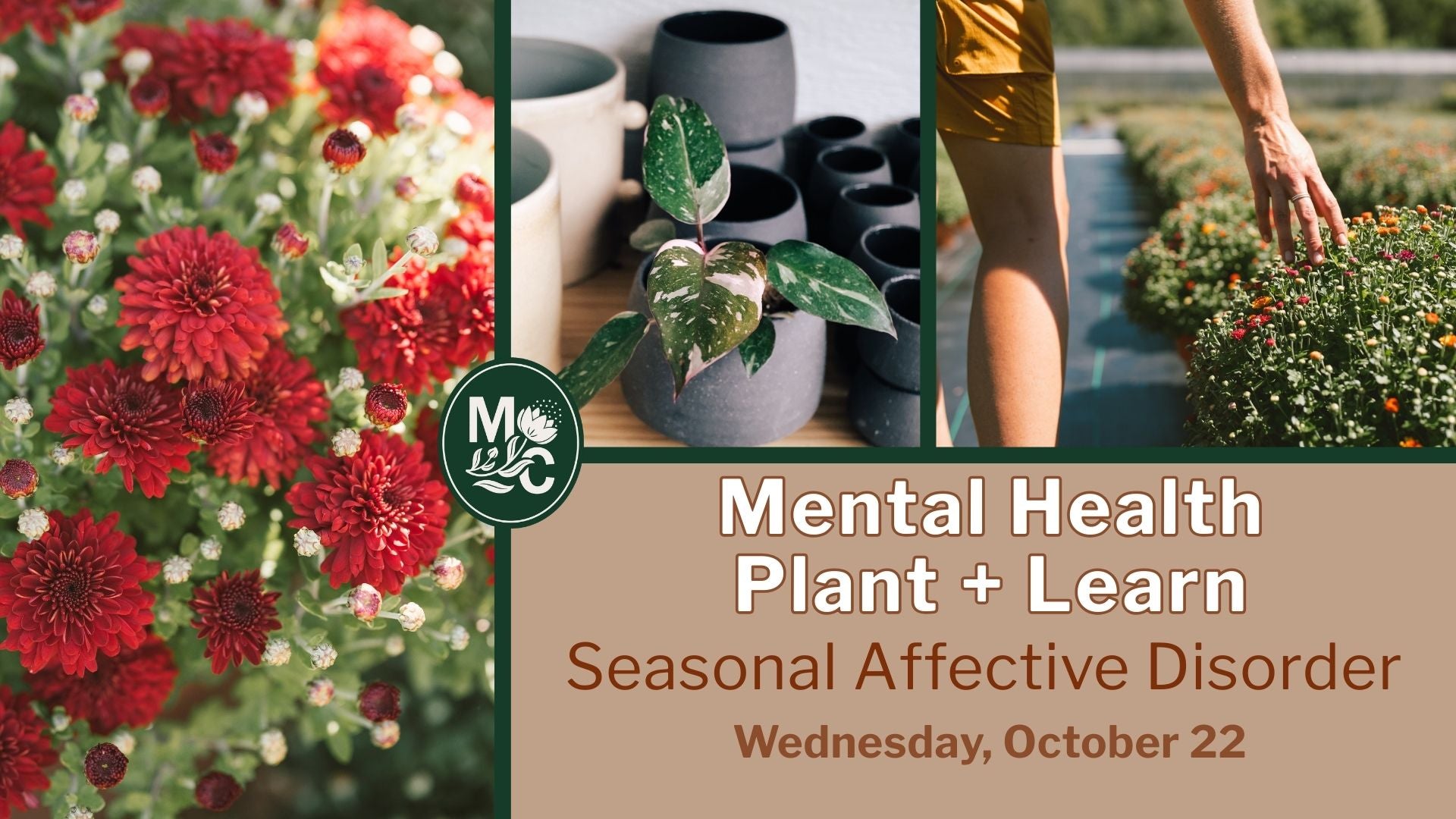 Mental Health Plant + Learn: Seasonal Affective Disorder